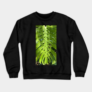 Holy Green Leaf of Nature Crewneck Sweatshirt